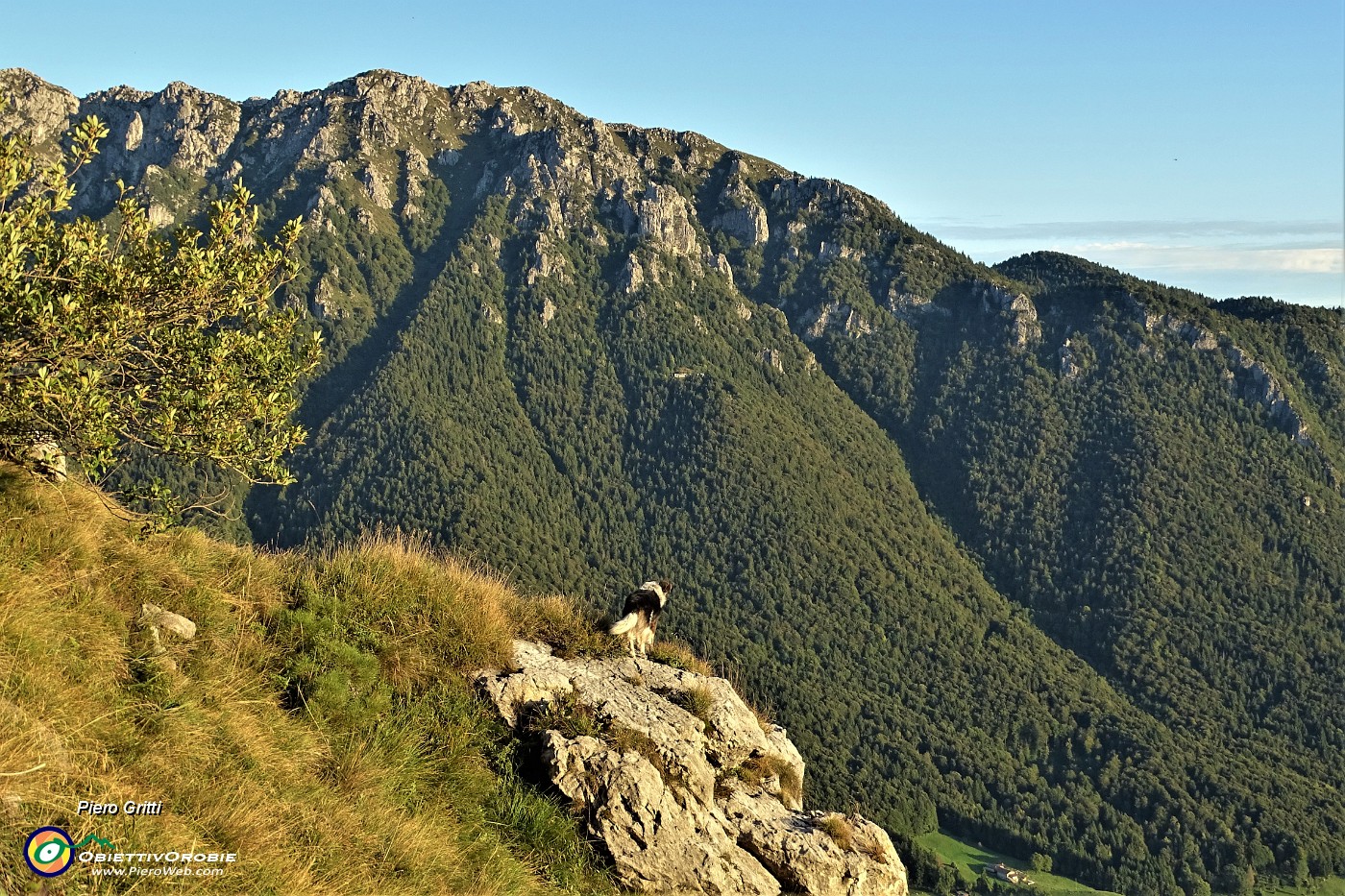 55 Nika osserva dal dirupo....JPG
